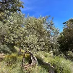 Clos Des Cassis - 3* Villeneuve (Alpes-de-Haute-Provence)