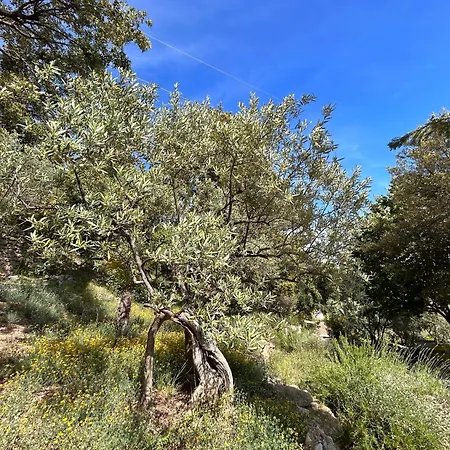 Clos Des Cassis - 3* Villeneuve (Alpes-de-Haute-Provence)