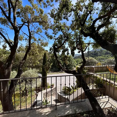 Clos Des Cassis - Maison d'hôtes