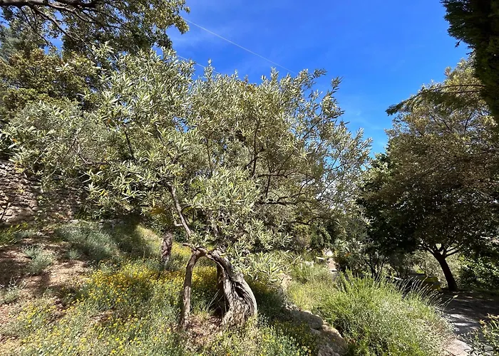 Clos Des Cassis - 3* Villeneuve (Alpes-de-Haute-Provence)